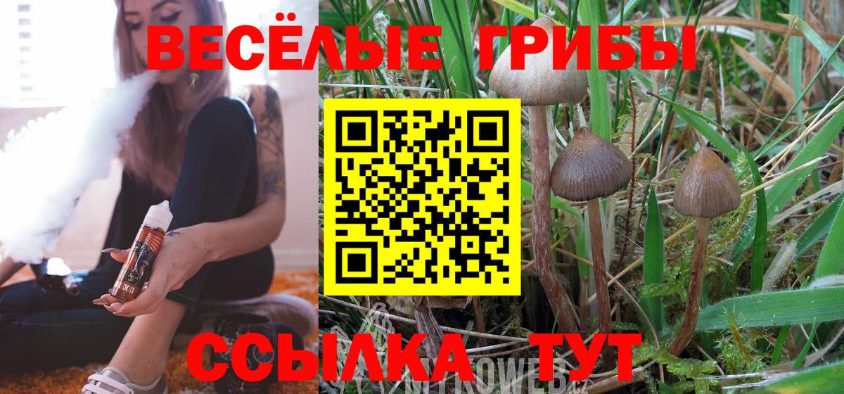 Галлюциногенные грибы ЛСД Златоуст