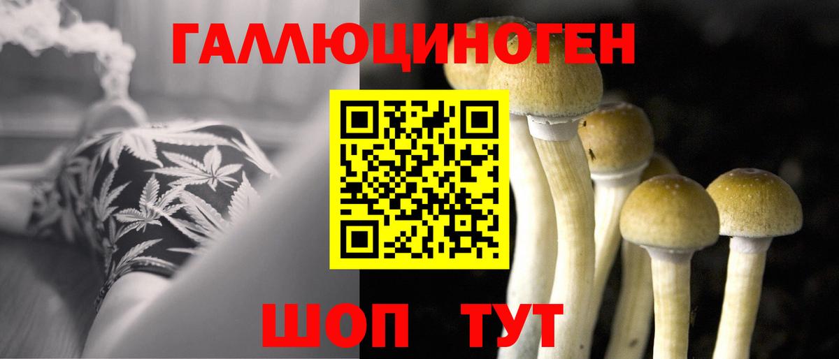Златоуст  Псилоцибиновые грибы Magic Shrooms  Вход с VPN  Галлюциногенные грибы Psilocybine cubensis 